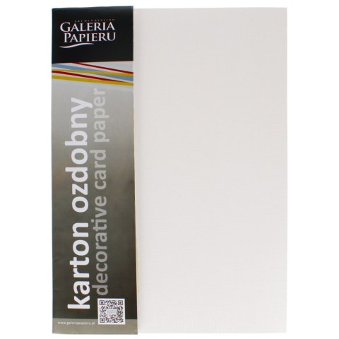 CRAFT CARDBOARD A4 WHITE 230G HOLLAND FOL OPTION 20PCS GALLERY OF PAPER 200502 ARGO ARGO