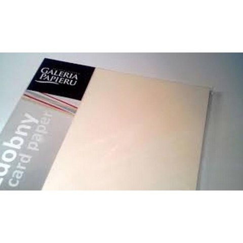 CRAFT CARDBOARD A4 CREAM 230G LEATHER PAPER GALLERY 004093 ARGO