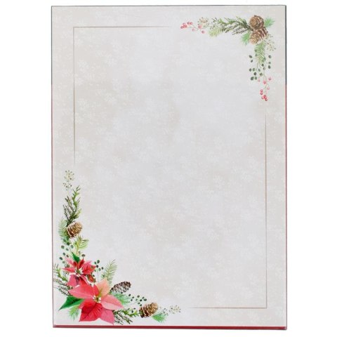 DECORATIVE CARDBOARD A4 CHRISTMAS 100G PAPER GALLERY 233610 ARGO